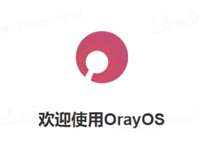 OrayOS路由器固件使用教程